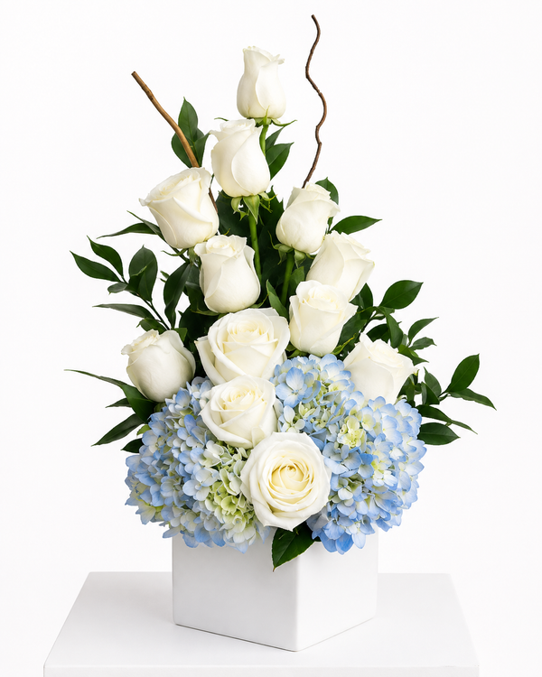 C2048 - Little Blue Blessing