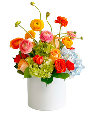 C4943 - Multicolor Feelings
