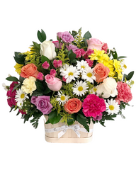 C5522 Garden of Love