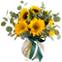 C1737 - Sunny Surprise