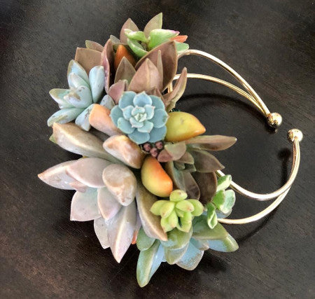 C3730 - Succulent Corsage