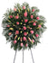 C4405 - Standing Spray