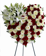 C4442 - Heart