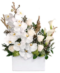 C5842 - Blooming Elegance