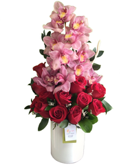 C5907 - Sweet Splendor