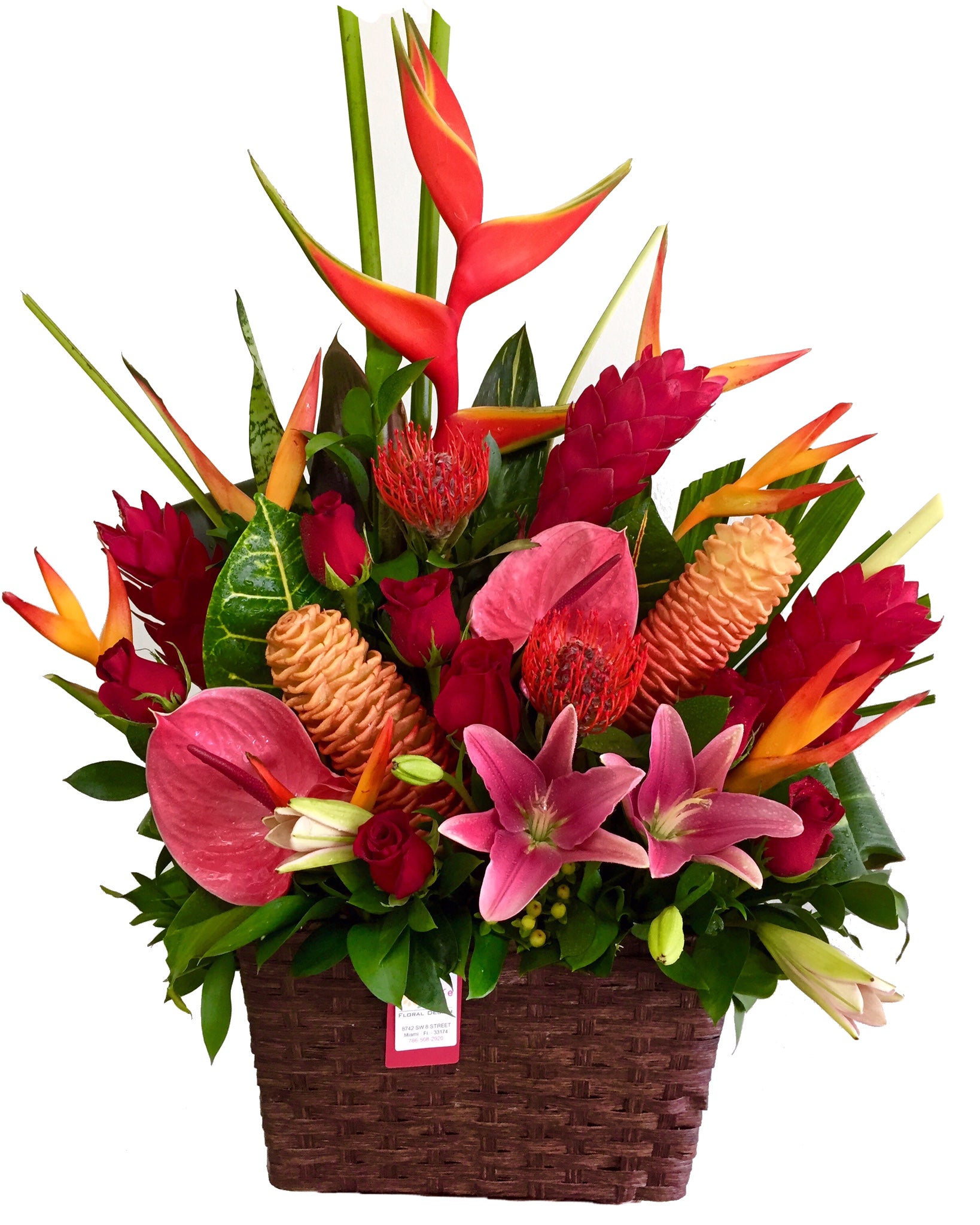 C6221 - Tropical Joy