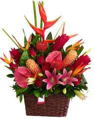 C6221 - Tropical Joy