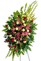 C6615 - Standing Spray
