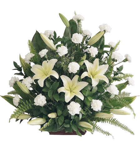 C7133 - Comforting Beauty