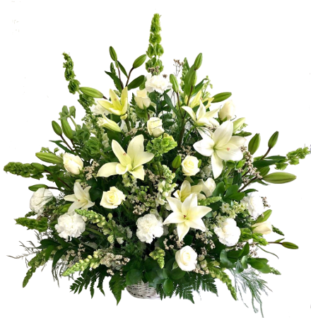 C8092 - White Petals