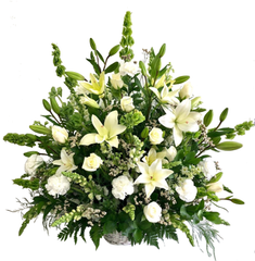 C8092 - White Petals