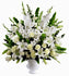 C8264 - White Snow