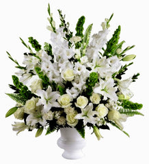 C8264 - White Snow