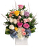 C8648 - Cute Colors