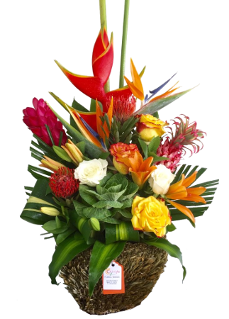 C8761 - Tropical Arrangement