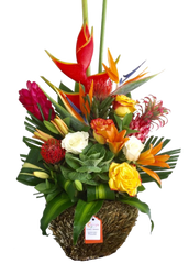 C8761 - Tropical Arrangement