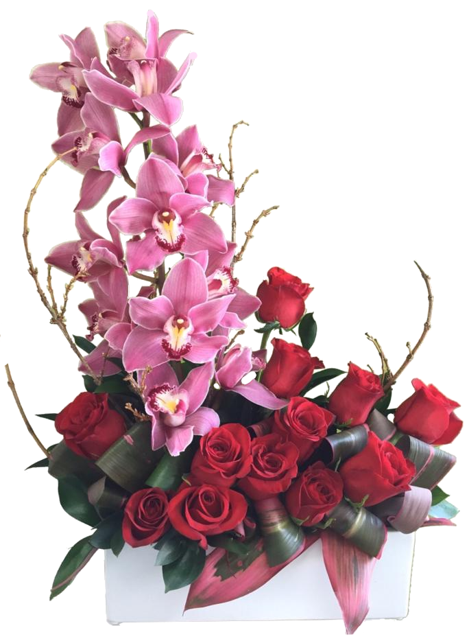C9248 - Pretty in Pink