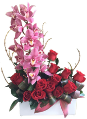 C9248 - Pretty in Pink