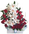 C9294 - Sweet Love