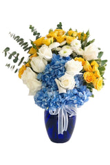 C8502 - Oh! My Blue!
