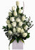 C5523 - White Elegance