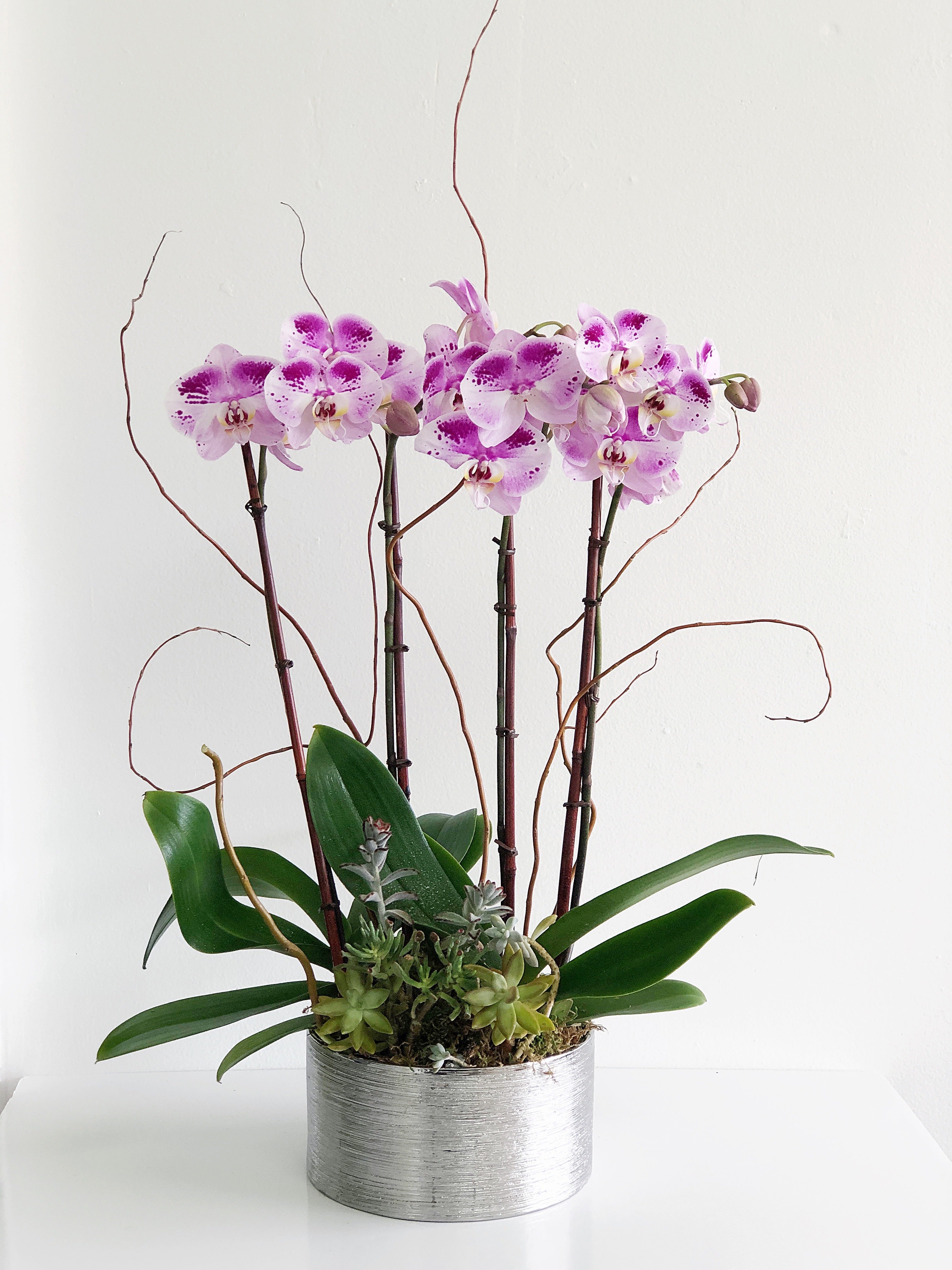 C6210 - Orchid Arrangement