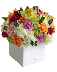 C5398 - Colorful love
