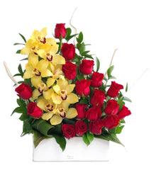 C5552 - Yellow Magic