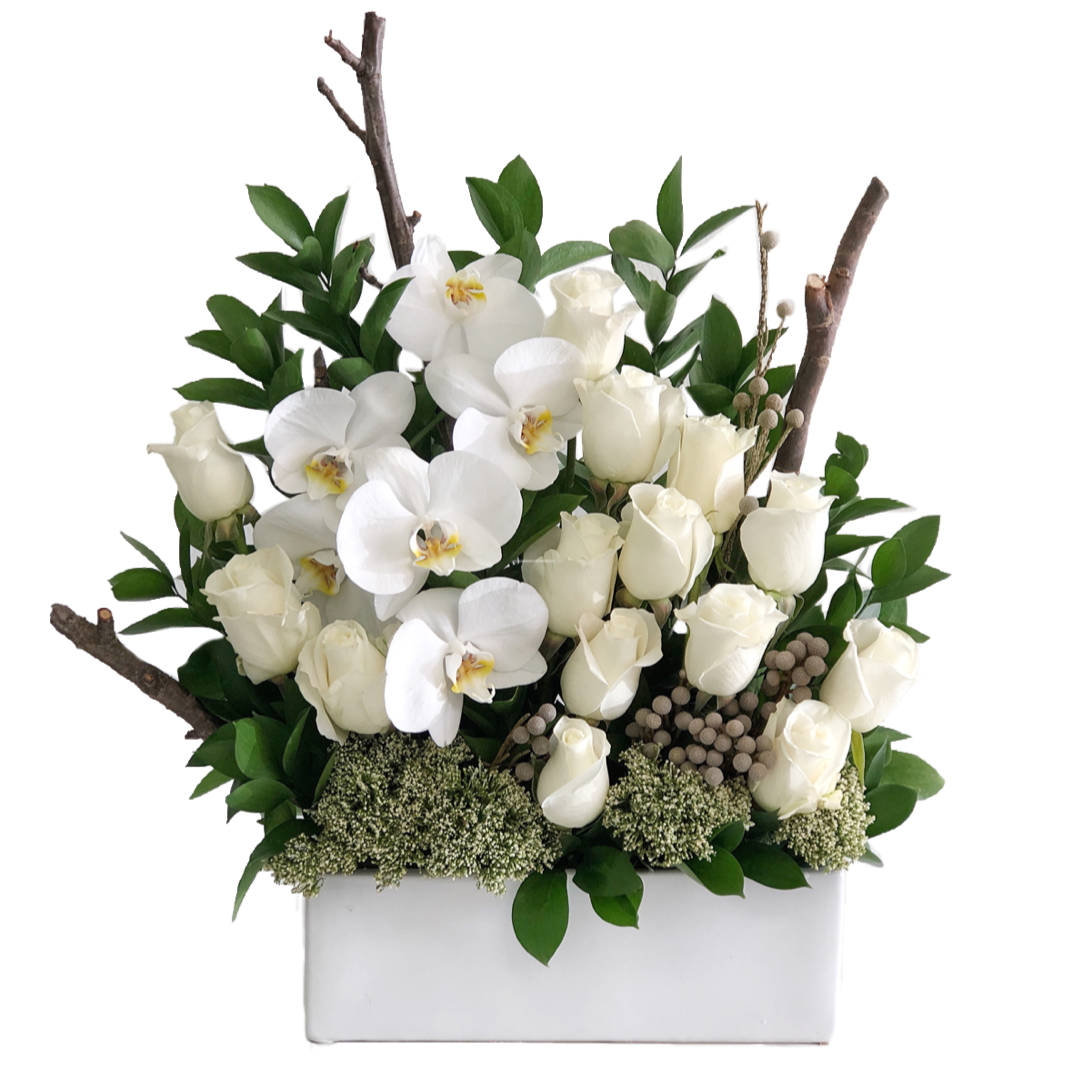 C3863 - White Exellence