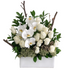 C3863 - White Exellence