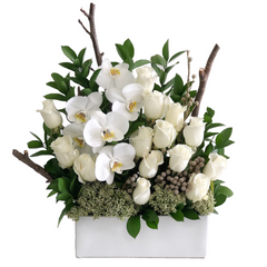 C3863 - White Exellence