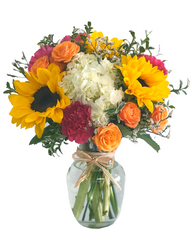 C3718 - Fiesta Color