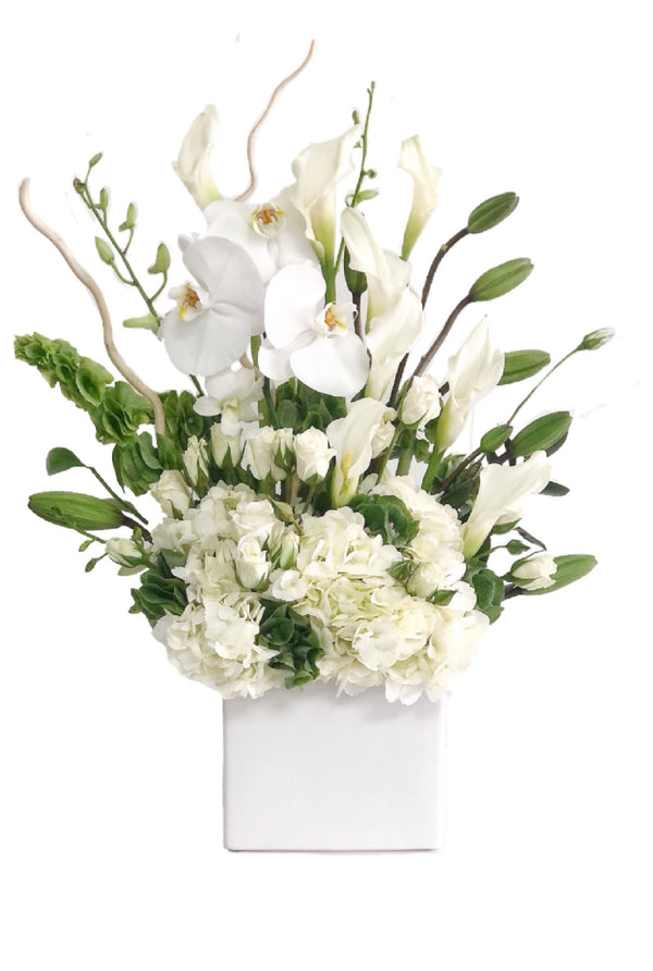 C5169 - Deep Feelings