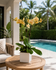 C6854 - Orchid Arrangement