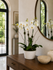 C6301 - Orchid Arrangement