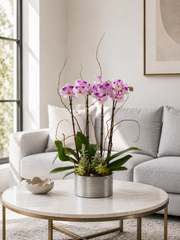 C6210 - Orchid Arrangement