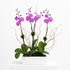 files/IMG-4112.png