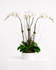 files/IMG-4115_7b98b3b3-2ab4-4ca1-a81a-90e41fc93332.png