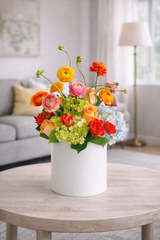 C4943 - Multicolor Feelings