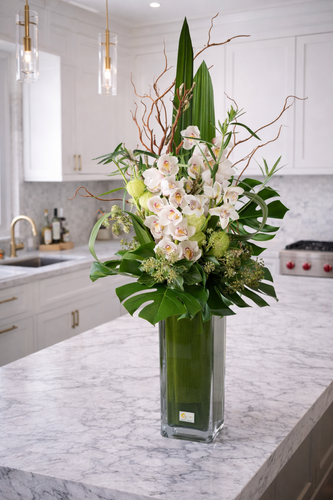 C6517 - Modern Paradise