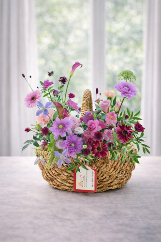 C3335 - Violet Bloom