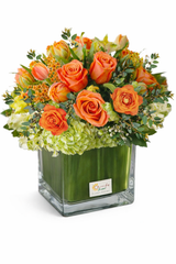 C8686 - Lush Sunrise