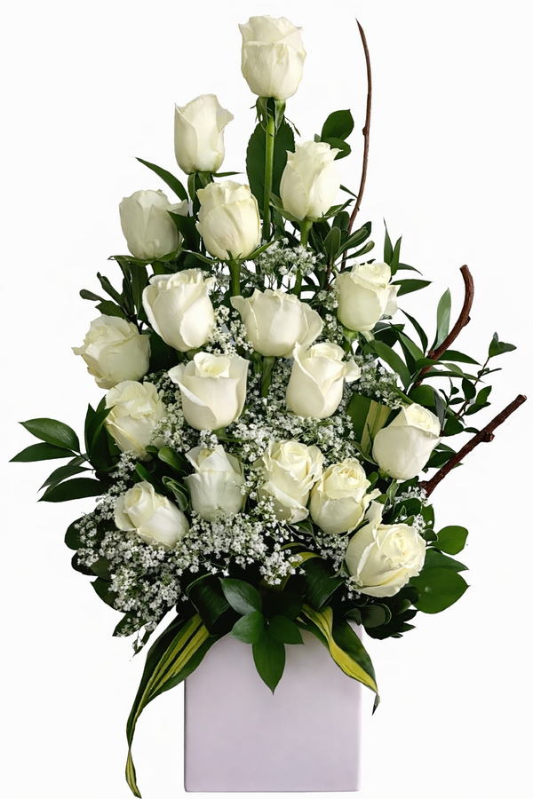 C5523 - White Elegance