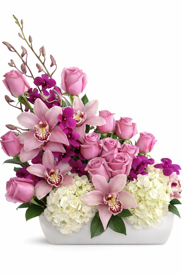 C3536 - Sailing in Pink