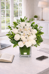 C5531 - White in Forest