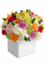 C5398 - Colorful love