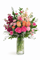 C1586 - Heaven Palette