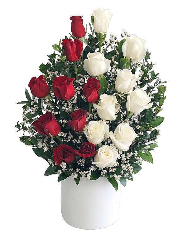 C8116 - Red & White 18 Roses