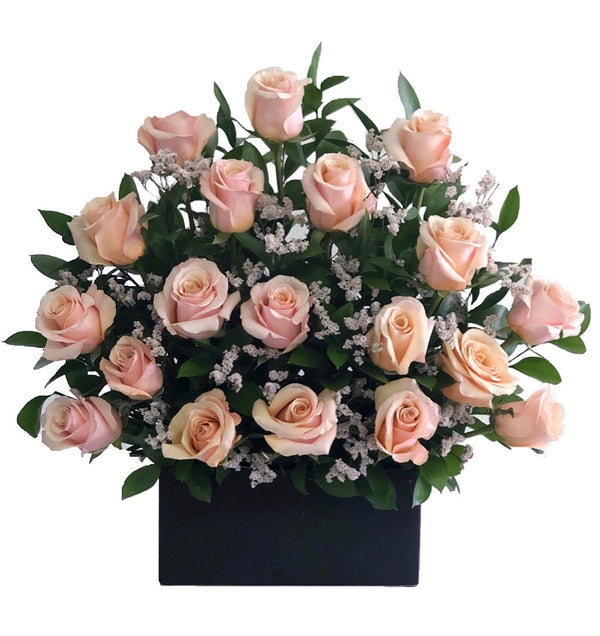 C9924 - Light blush roses